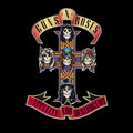 Guns N Roses Appetite for Destruction
