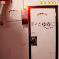 Dr. Dog B-Room